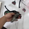 241/TK TAY THẮNG RCS19 CORSA