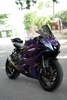 YAMAHA R7 2022-2023