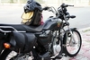 SUZUKI GD110 2022