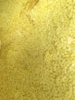 luu-huynh-hat