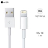 Combo sạc cáp 10W Apple