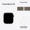 Apple Watch Series 11 Titan (GPS + Cellular) 46mm Milanese Loop