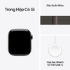 Apple Watch Series 11 Titan (GPS + Cellular) 46mm Milanese Loop