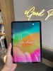 iPad Pro M1 11inch 128GB WIFI GRAY Body 99%