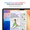 MacBook Air M4 13 inch (10 core GPU | 24GB RAM | 512GB SSD)