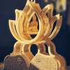 Boarc Lotus
