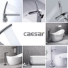 Vòi Sen Đứng Bồn Tắm Caesar AS689C