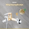 Sen nóng lạnh Caesar S393C