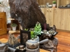 Decor by Mây Trầm Hương