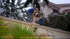he-thong-camera-quan-sat-tai-tphcm-gia-huy-diet-nhan-doi-khuyen-mai