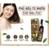 DẦU GỘI PHỦ BẠC MỘC LAN