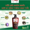 Dầu gội 2 trong 1 Chăm sóc sạch da đầu kích thích mọc tóc ASIA HAIR CARE 450g