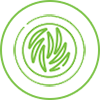 coll_6_title