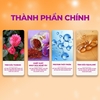 Serum MOMOE Advanced Anti-Aging Serum cấp ẩm, dưỡng trắng ngăn ngừa lão hóa giúp da căng bóng