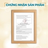 Serum Chống lão hóa Lymina