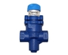 brv2s-and-brv2b-sg-iron-pressure-reducing-valves
