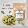 Hạt Bí xanh Ấn Độ sống