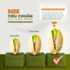 Hạt dẻ cười TANU NUTS, hạt dẻ cười rang muối không tẩy trắng giàu dinh dưỡng