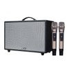 Loa Xách Tay Acnos CS3600 (Bass 25cm, 200W, Bluetooth 5.0)