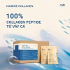 MARINE COLLAGEN