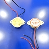 Còi Buzzer báo động 3V-24VDC SFM-27