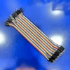 Dây cắm Test Board, dây nhiều màu 2.54mm 40 pin 20cm