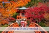Tham Quan Chùa Tofukuji - Nơi Ngắm Lá Phong Đầu Tiên Ở Kyoto