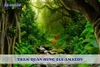 Tham quan rừng già Amazon: Hệ sinh thái kỳ bí nhất thế giới