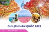Du lịch Hàn Quốc 2026: Hà Nội - Busan - Gyeongju - Seoul - Đảo Nami - Tàu Điện Ven Biển Haeundae - Cỏ Hồng Muhly - Làng Văn Hóa Huinnyeoul