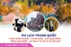 Du lịch Trung Quốc: Tour Trùng Khánh - Từ Khí Khẩu - Lão Quân Động - Hồng Nhai Động - Ga tàu Lý Tử Bá 5N4Đ từ Hà Nội 2025