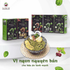 Mì tươi sấy lạnh Ahamaisa -Kale