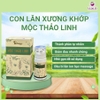 Con Lăn Massage Cổ Vai Gáy Mộc Thảo Linh
