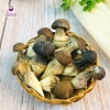 Nấm Mối Đen Sấy Thăng Hoa