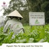 Mì tươi sấy lạnh Ahamaisa - Củ nghệ