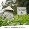 Mì tươi sấy lạnh Ahamaisa - Cải Bó Xôi