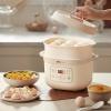 Nồi nấu chậm Bear