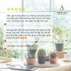 Dầu gội thảo dược - tóc nhuộm