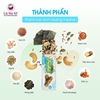 Thanh hạt dinh dưỡng Freshie - Mè đồi & Rong biển