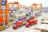 12 CASES OF WHOLLY OBTAINED GOODS UNDER THE AKFTA AGREEMENT