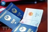 PROCEDURE FOR ISSUING SPECIAL VISA EXEMPTION CARDS FOR FOREIGNERS ACCORDING TO REGULATION 221