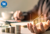 THERE WILL BE 17 DOCUMENTS GUIDING THE LAW ON MANAGEMENT AND INVESTMENT OF STATE CAPITAL IN ENTERPRISES