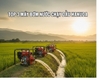 Top 3 Máy Bơm Nước Chạy Dầu Cao Áp Hakuda: Lựa Chọn Của Sức Mạnh và Hiệu Quả
