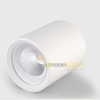 Đèn Downlight đôi ốp nổi tròn