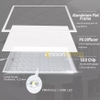 Đèn Panel Clip in 600x600 cho phòng sạch IP65