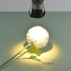 Đèn Spotlight Mini MG-DM Series