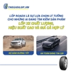 lop-roadx-235-65r16c-10pr-dc06