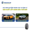 lop-giti-225-60r17-99v-control-p80-runflat
