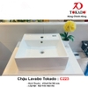 Chậu C223 Tokado