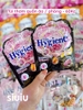 TÚI THƠM QUẦN ÁO / PHÒNG HYGIENE THÁI