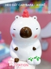 HEO ĐẤT CABYBARA